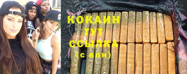 прущие грибы Нефтегорск