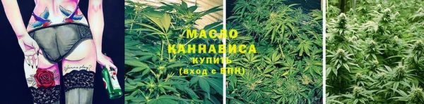 spice Михайлов
