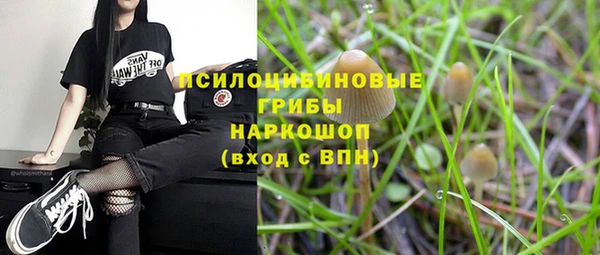 spice Михайлов