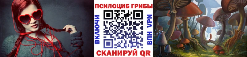 Галлюциногенные грибы Psilocybe  Тольятти 