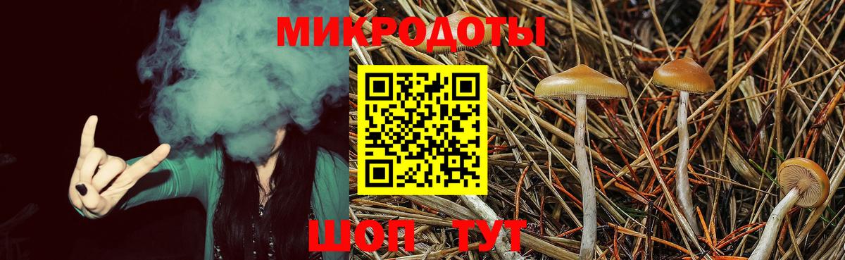 Галлюциногенные грибы мицелий  закладки  Тольятти  Галлюциногенные грибы GOLDEN TEACHER 