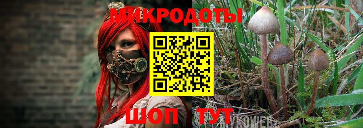 Галлюциногенные грибы Cubensis Тольятти