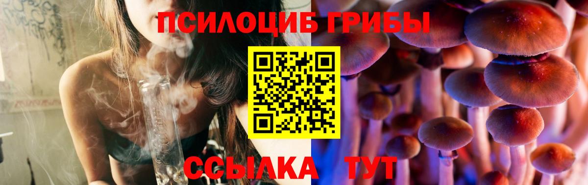 Тольятти  Псилоцибиновые грибы GOLDEN TEACHER  Вход с VPN 