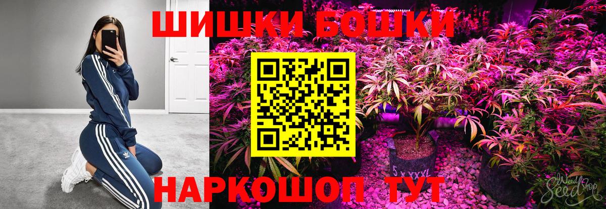 Каннабис OG Kush Тольятти